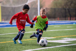 Young soccer players on a field