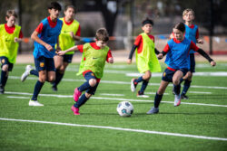 Soccer players on a field