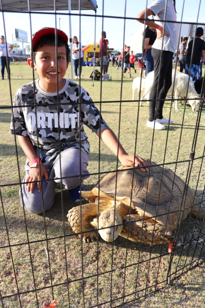 Petting zoo at the Maryvale Spring Fiesta