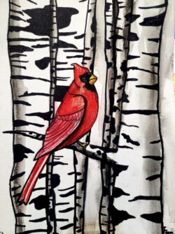 Artwork of cardinal in birch trees