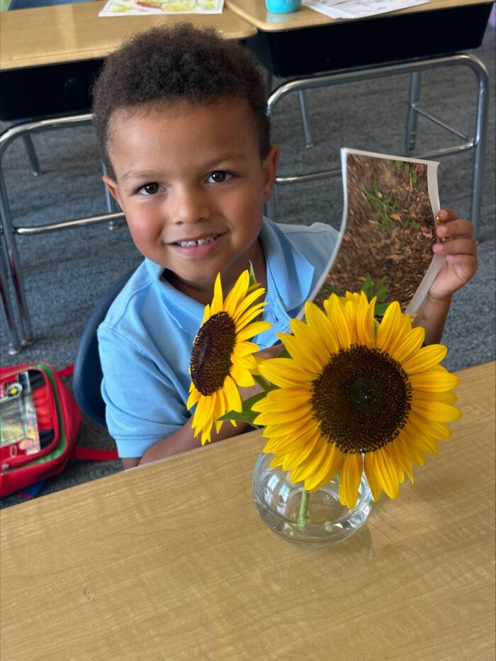 Student with artwork and sunflower at Harveston Kinder Readiness Program