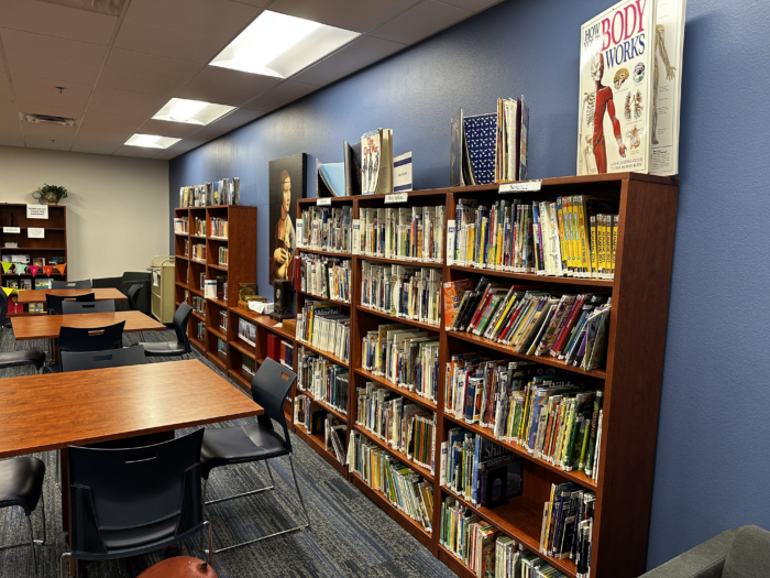 Library shelves with books