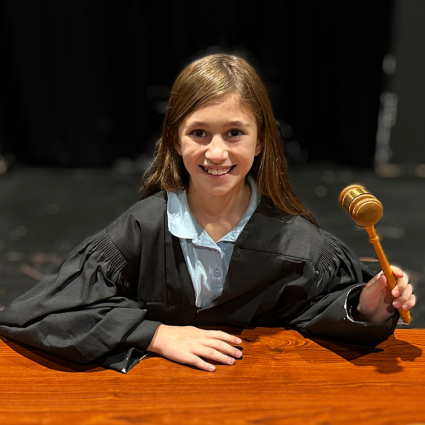 Student posing as a courtroom judge