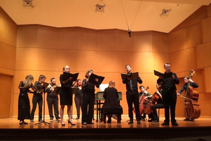 a chamber orchestra performing on stage