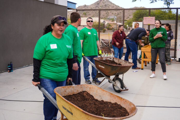 Volunteers carrying wheelbarrows holding soil