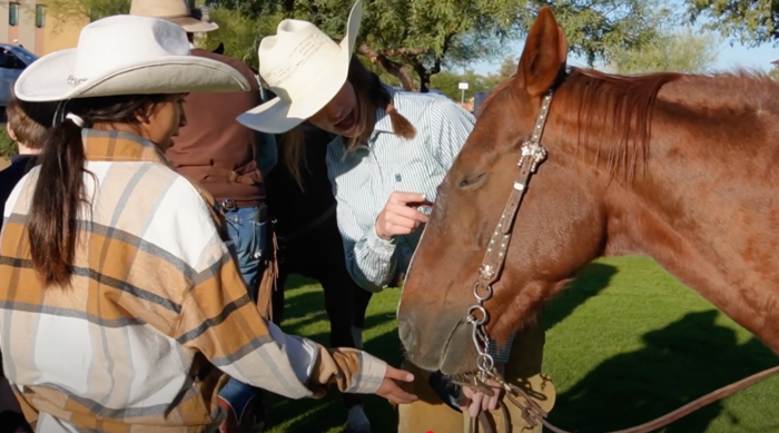 Female student petting a horse