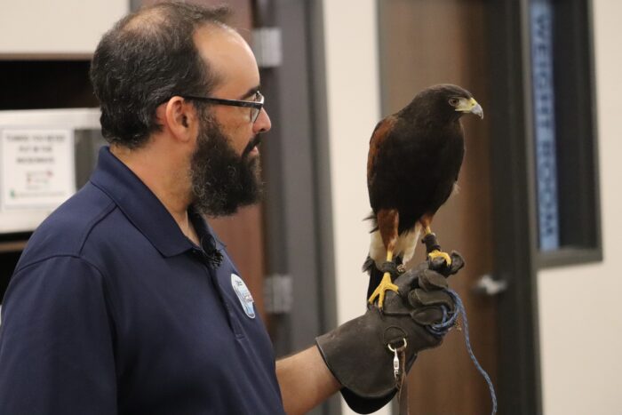 A man holding a hawk