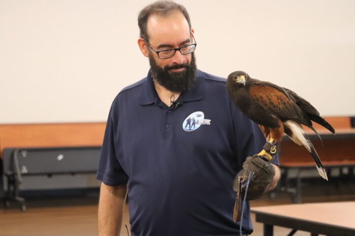 A man holding a hawk